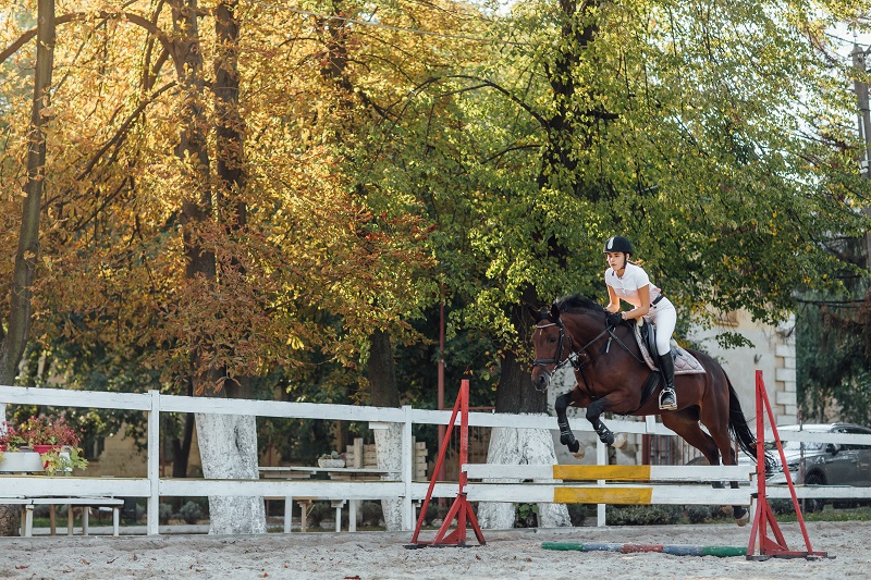 Exercises to Improve Your Horse’s Jumping Form